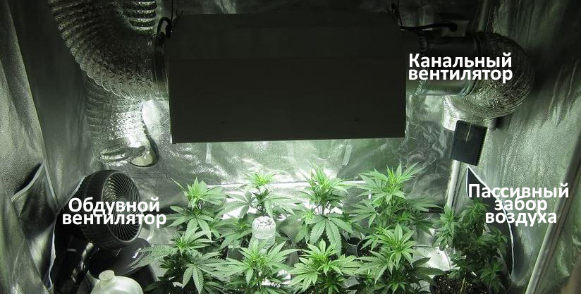 Выращивание марихуаны вентиляция задержали выращивал коноплю