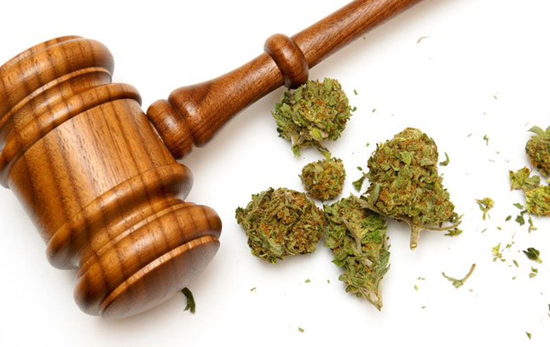 В Грузии декриминализировали употребление марихуаны