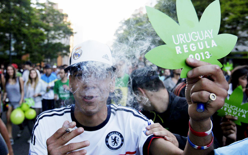 Легализация конопли в уругвае фото