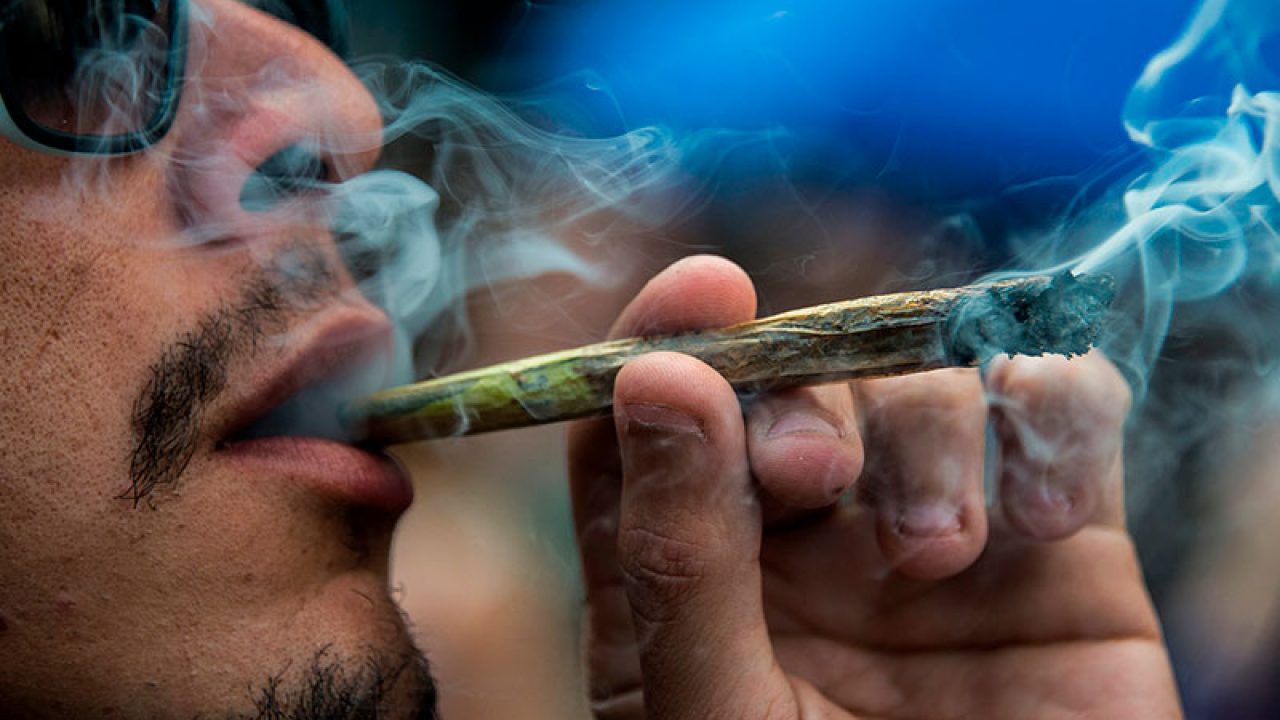 Курить каждый день марихуану фильм про наркотики русский