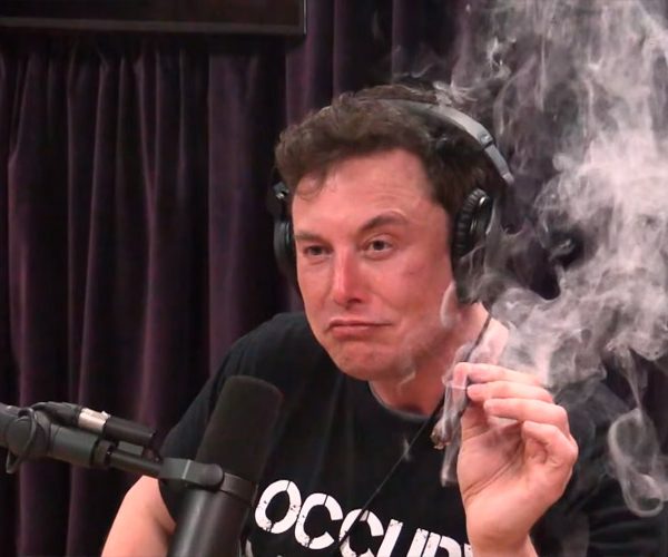 Илон Маск курит каннабис фото