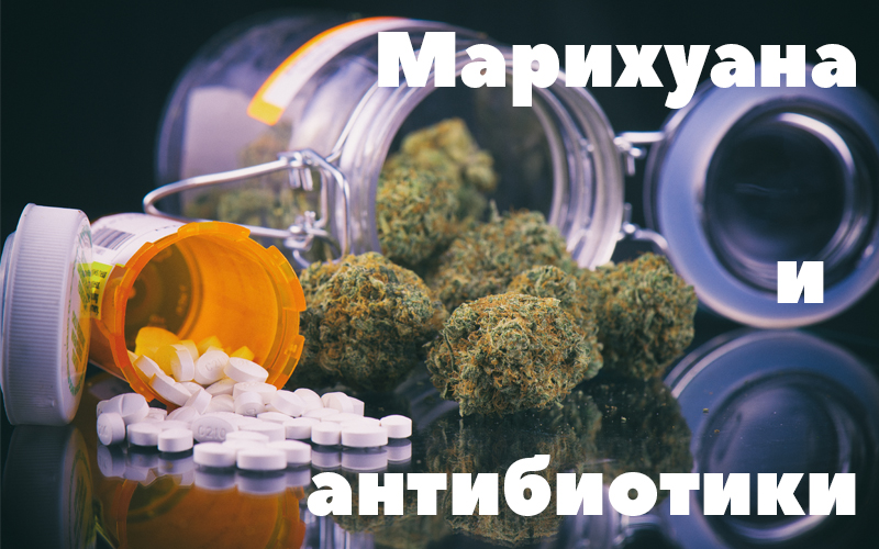 Можно ли курить марихуану при употреблении антибиотиков статья за хранение марихуаны в россии