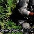 Каннабис и ПТСР